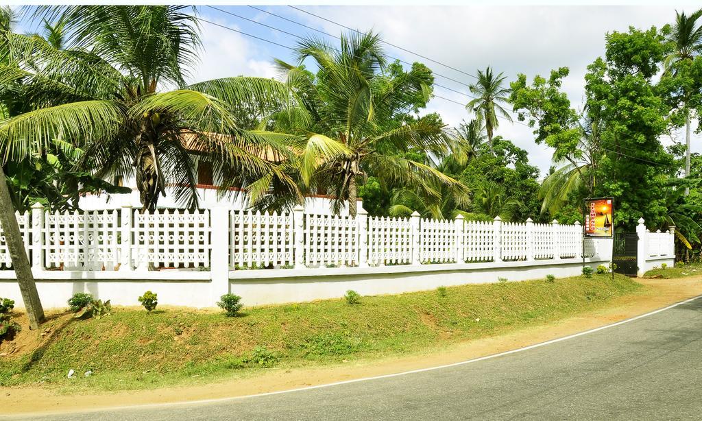 Hotel Flamingo Anuradhapura Dış mekan fotoğraf